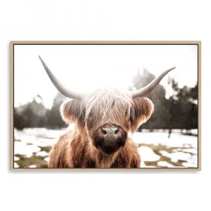 Hudson The Highland Cow by The Paper Tree, a Prints for sale on Style Sourcebook
