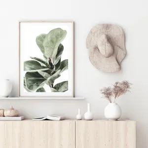 Fiddle Leaf Fig Art Print Set by The Paper Tree, a Prints for sale on Style Sourcebook