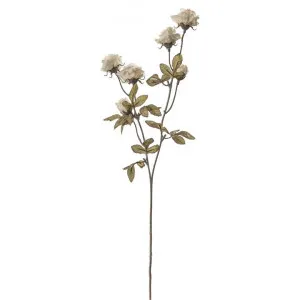 Artificial Dried Rose Spray, Set of 6, Ivory by Casa Bella, a Plants for sale on Style Sourcebook