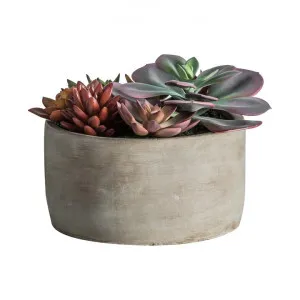 Potted Artificial Mixed Succulent Garden by Casa Bella, a Plants for sale on Style Sourcebook