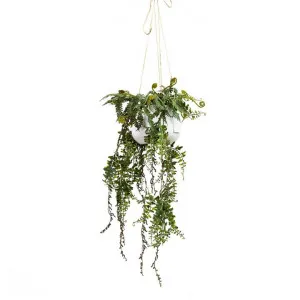Glamorous Fusion Artificial Barker Fern in Hanging Pot, 87cm by Glamorous Fusion, a Plants for sale on Style Sourcebook