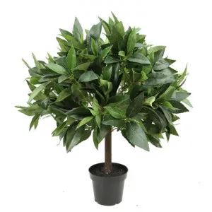 Glamorous Fusion Potted Artificial Bay Leaf Topiary, 50cm by Glamorous Fusion, a Plants for sale on Style Sourcebook