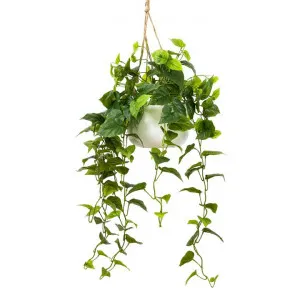 Glamorous Fusion Artificial Philo Bush in Hanging Pot, 100cm by Glamorous Fusion, a Plants for sale on Style Sourcebook