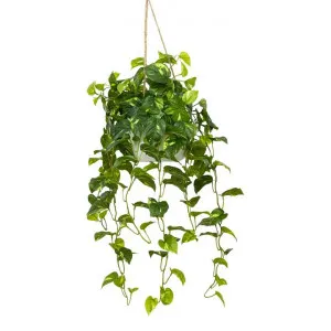 Glamorous Fusion Artificial Pothos Bush in Hanging Pot, 104cm by Glamorous Fusion, a Plants for sale on Style Sourcebook