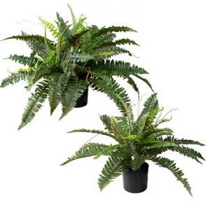 Glamorous Fusion Potted Artificial Boston Fern Twin Set by Glamorous Fusion, a Plants for sale on Style Sourcebook