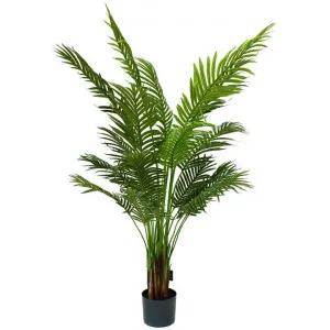 Glamorous Fusion Potted Artificial Areca Palm Tree, 137cm by Glamorous Fusion, a Plants for sale on Style Sourcebook
