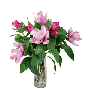 Astrid Artificial Magnolia Liliiflora in Vase, 60cm, Pink Flower by Glamorous Fusion, a Plants for sale on Style Sourcebook