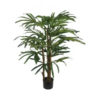 Glamorous Fusion Potted Artificial Rhapis Palm Tree, 110cm by Glamorous Fusion, a Plants for sale on Style Sourcebook