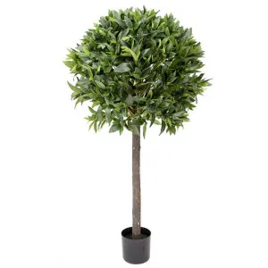 Glamorous Fusion Potted Artificial Bay Leaf Topiary, 125cm by Glamorous Fusion, a Plants for sale on Style Sourcebook