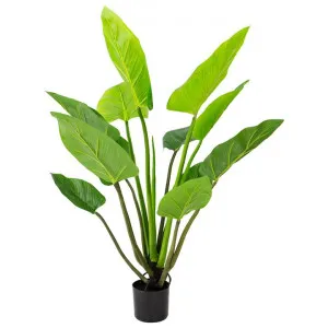 Glamorous Fusion Potted Artificial Philodendron Plant, 140cm by Glamorous Fusion, a Plants for sale on Style Sourcebook