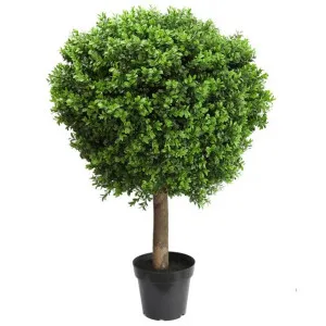 Glamorous Fusion Potted Artificial Boxwood Ball Topiary, 90cm by Glamorous Fusion, a Plants for sale on Style Sourcebook