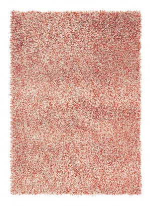 Brink & Campman Young 061802 by Brink & Campman, a Contemporary Rugs for sale on Style Sourcebook