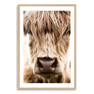 Highland Cow Portrait by The Paper Tree, a Prints for sale on Style Sourcebook