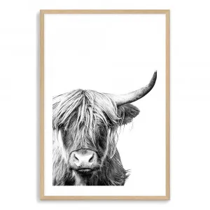 Harper The Highland Cow Portrait Art Print by The Paper Tree, a Prints for sale on Style Sourcebook