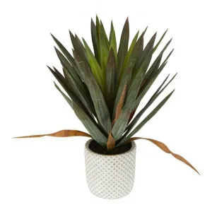Artificial Yucca Gloriosa in Cement Pot, 48cm by Florabelle, a Plants for sale on Style Sourcebook