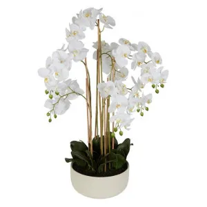 Real Touch Artificial Orchid in Ceramic Bowl, 100cm by Florabelle, a Plants for sale on Style Sourcebook