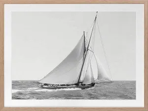 Wind in my Sails Framed Art Print by Urban Road, a Prints for sale on Style Sourcebook