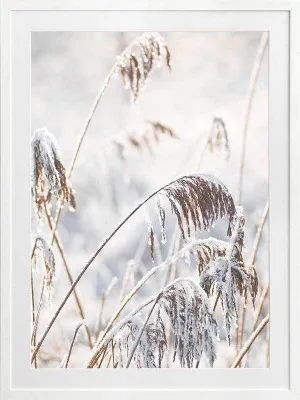 Pampas Frost Framed Art Print by Urban Road, a Prints for sale on Style Sourcebook