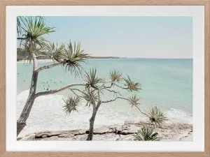 Pandanus in Paradise Framed Art Print by Urban Road, a Prints for sale on Style Sourcebook