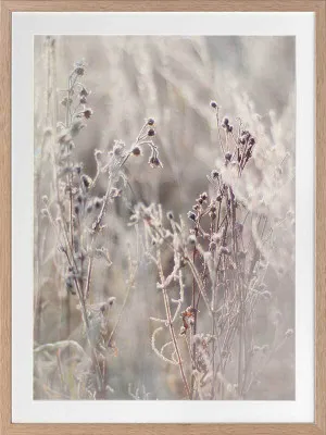 Thistle Frost Framed Art Print by Urban Road, a Prints for sale on Style Sourcebook