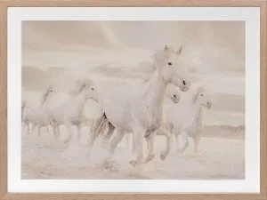 White Horse Stampede Framed Art Print by Urban Road, a Prints for sale on Style Sourcebook