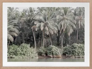 Shady Shoreline Framed Art Print by Urban Road, a Prints for sale on Style Sourcebook