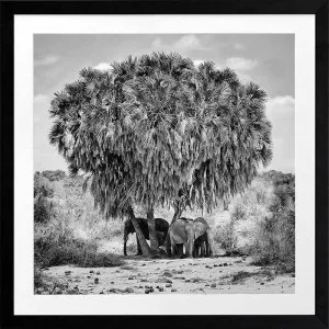 Elephants in Hiding Framed Art Print by Urban Road, a Prints for sale on Style Sourcebook
