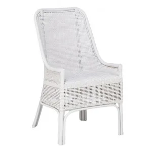 Albany Rattan Dining Chair, White by French Country Collection, a Dining Chairs for sale on Style Sourcebook