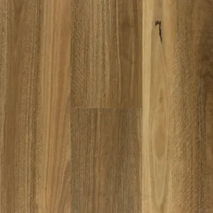 Scented Spotted Gum by Terra Mater, a Medium Neutral Vinyl for sale on Style Sourcebook