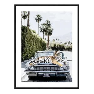 Rodeo Tiger Framed Print in 84 x 118cm by OzDesignFurniture, a Prints for sale on Style Sourcebook