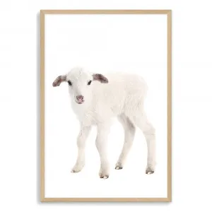 Baby Lamb Nursery Art Print by The Paper Tree, a Prints for sale on Style Sourcebook