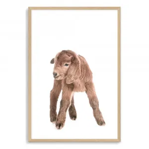Baby Goat Nursery Art Print by The Paper Tree, a Prints for sale on Style Sourcebook