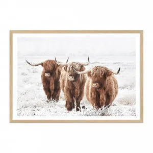 Highland Cows Art Print Highland Cattle by The Paper Tree, a Prints for sale on Style Sourcebook