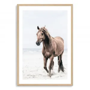 Horse On The Beach Art Print by The Paper Tree, a Prints for sale on Style Sourcebook