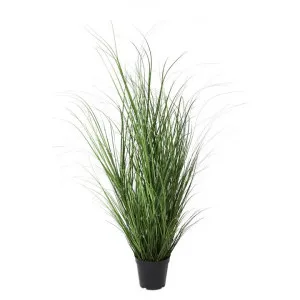 Carnarvon Potted Artificial Coastal Grass, 52cm by Casa Uno, a Plants for sale on Style Sourcebook