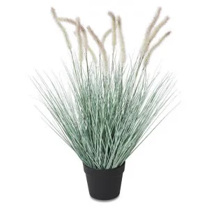 Carnarvon Potted Artificial Cattail Grass, 60cm by Casa Sano, a Plants for sale on Style Sourcebook