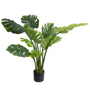 Glamorous Fusion Potted Artificial Monstera Plant, 120cm by Glamorous Fusion, a Plants for sale on Style Sourcebook