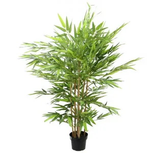 Glamorous Fusion Potted Artificial Chinese Bamboo Tree, 110cm by Glamorous Fusion, a Plants for sale on Style Sourcebook