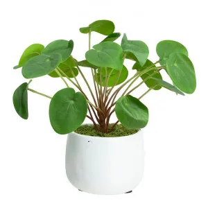 Glamorous Fusion Artificial Chinese Money Plant in Pot, 27cm by Glamorous Fusion, a Plants for sale on Style Sourcebook