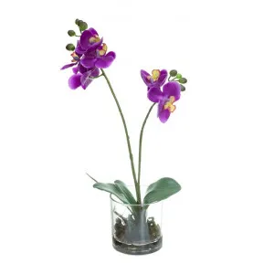 Srelane Artificial Orchid Spray in Vase, 40cm, Purple Flower by Glamorous Fusion, a Plants for sale on Style Sourcebook