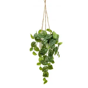 Glamorous Fusion Artificial Scindapsus Bush in Hanging Pot, 86cm by Glamorous Fusion, a Plants for sale on Style Sourcebook