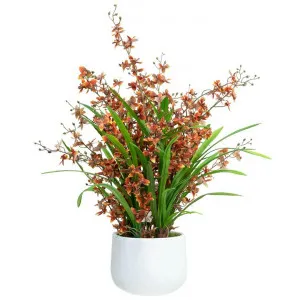 Atkins Artificial Dancing Lady Orchid in Pot, 78cm, Orange Flower by Glamorous Fusion, a Plants for sale on Style Sourcebook