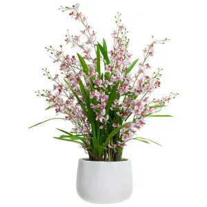 Atkins Artificial Dancing Lady Orchid in Pot, 78cm, Pink Flower by Glamorous Fusion, a Plants for sale on Style Sourcebook