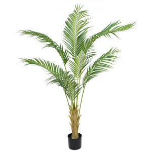 Glamorous Fusion Potted Artificial Palm Tree, 180cm by Glamorous Fusion, a Plants for sale on Style Sourcebook