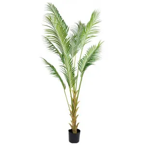 Glamorous Fusion Potted Artificial Palm Tree, 240cm by Glamorous Fusion, a Plants for sale on Style Sourcebook
