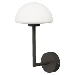 Orb Dome Long Arm Wall Light, Dark Bronze by Lighting Republic, a Wall Lighting for sale on Style Sourcebook