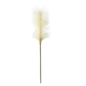 Vestre Soft Feather Stem, Pack of 5, Ivory by Casa Bella, a Plants for sale on Style Sourcebook