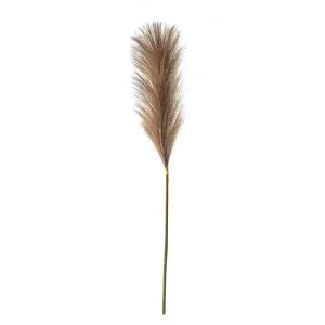 Vestre Soft Feather Stem, Pack of 5, Brown by Casa Bella, a Plants for sale on Style Sourcebook