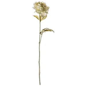 Vestre Artificial Dry Look Peony Stem, Pack of 5 by Casa Bella, a Plants for sale on Style Sourcebook