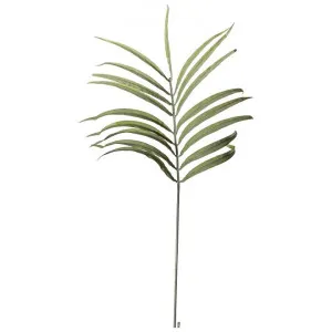 Vestre Artificial Dry Look Palm Leaf Stem, Pack of 3 by Casa Bella, a Plants for sale on Style Sourcebook